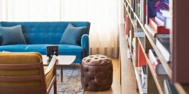 Shows living room with a blue couch against window and large book shelf to the right