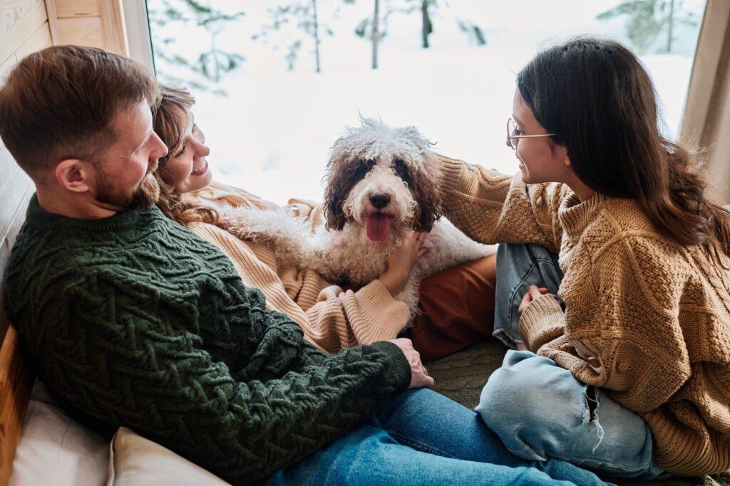 Winter’s coming, is your furnace ready? 1 Cozy indoor scene with dog.
